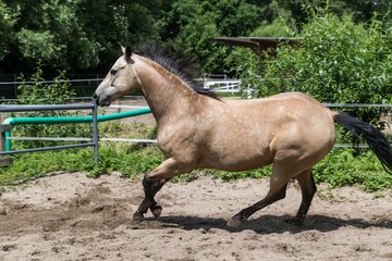 Bild 183 - Vivi